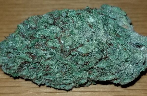 7687745_Thai_Sativa